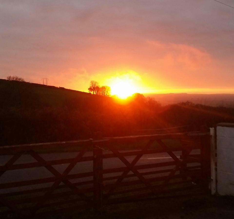Pantysgyfarnog Near Carmarthenshire Pembrokeshire