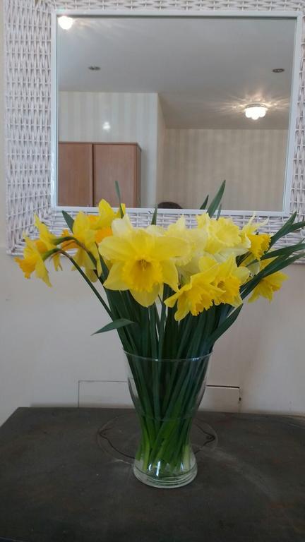 Hotel Pantysgyfarnog Near Carmarthenshire Pembrokeshire Carmarthen
